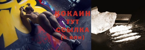 дмт Абаза