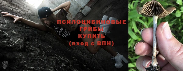 дмт Абаза